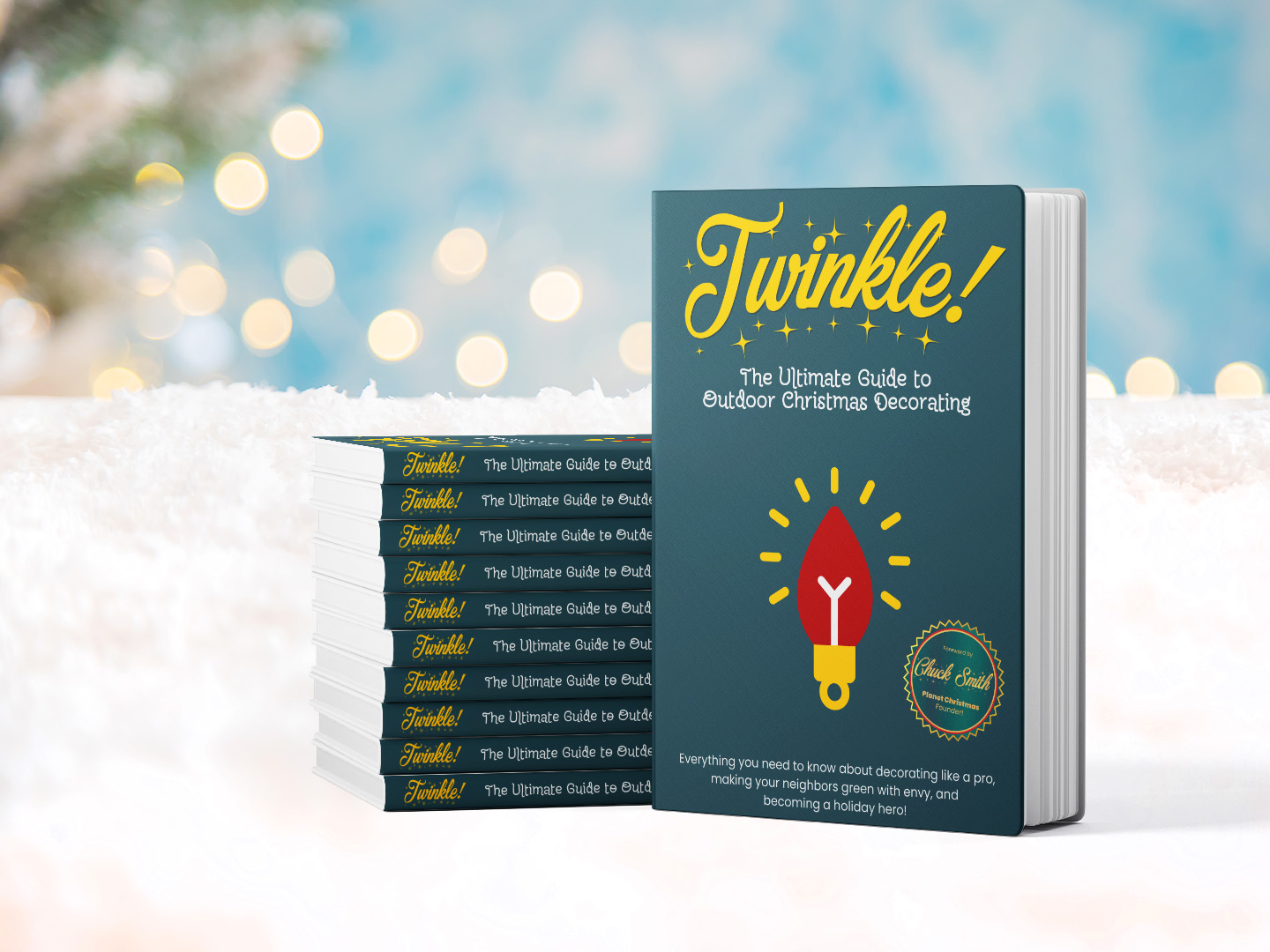 Twinkle! The Ultimate Guide to Outdoor Christmas Decorating